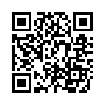 BR305 QRCode