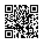 BYD33DGP-E3-73 QRCode