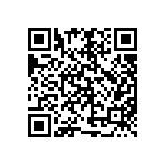 BZ016010BE94013BG1 QRCode