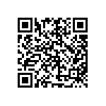 BZ016010BE95013BG1 QRCode