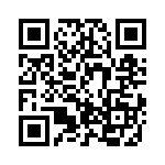 BZT52-C2V4X QRCode