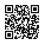 BZT55B2V4-L1G QRCode