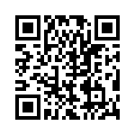 BZT55B30-L1G QRCode