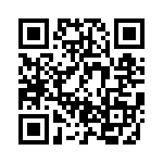 BZT55B3V0-L0G QRCode