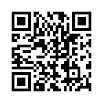 BZT55B9V1-GS08 QRCode