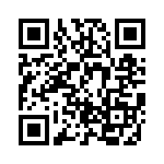 BZT55C27-GS08 QRCode