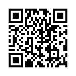 BZT55C30-L0G QRCode