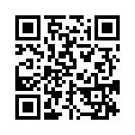 BZV55C13-L0G QRCode