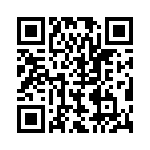 BZV55C20-L1G QRCode