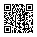 BZV55C33-L1G QRCode