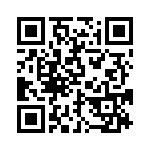 BZW04-11-R0G QRCode