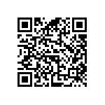 BZW04-13B-E3-73 QRCode