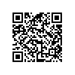 BZW04-213-E3-73 QRCode