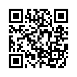 BZW04-213HR1G QRCode