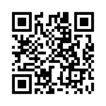 BZW04-23B QRCode