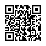 BZW04-23BHR1G QRCode