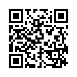 BZW04-256-B0G QRCode