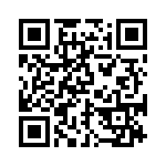 BZW04-273BHR0G QRCode