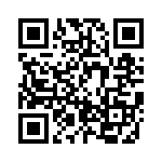 BZW04-299-A0G QRCode