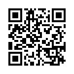 BZW04-299B-A0G QRCode