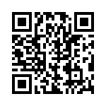 BZW04-31-R1G QRCode