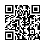 BZW04-53B-R1G QRCode