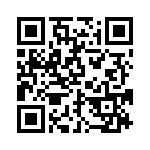 BZW04-94-B0G QRCode