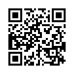 BZW06-19BRL QRCode