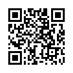 BZW06-256-B0G QRCode