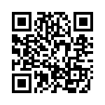 BZW50-33B QRCode