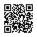 BZW50-33BRL QRCode