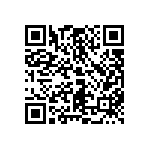 C13300_STRADA-2X2-T2 QRCode