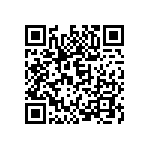 C13301_STRADA-2X2-T3 QRCode