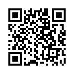 C333C132KAG5TA QRCode