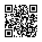 C333C393J1G5TA QRCode