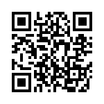 C333C823K2G5TA QRCode