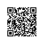 CA12382_TINA2-SS QRCode