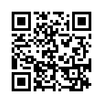 CES-137-01-T-D QRCode