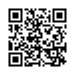 CES-137-02-T-S QRCode