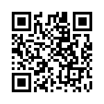 CF1JT1K80 QRCode