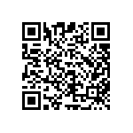 CKG45KX7T2E684K290JJ QRCode