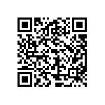 CN0966B20G28P10Y040 QRCode