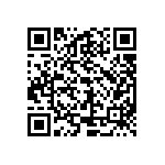 CN0966B20G28S10Y040 QRCode