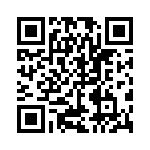 CNX_B_X_4_1_06 QRCode