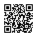 CNX_D_X_4_1_06 QRCode