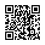 CNX_G_X_4_1_06 QRCode