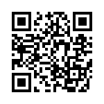 CRB2A4E161GT QRCode