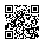 CRB3A4E333JT QRCode