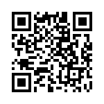 CT3134-2 QRCode