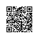 CW0104R300JE733 QRCode